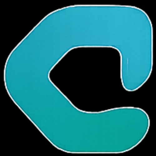 PT Cipta Solusi Digital	 logo